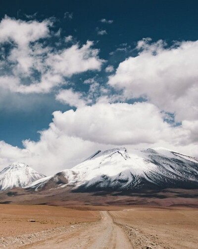 Dry landscape with a snowy mountain in the background